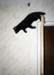Jumping Cat