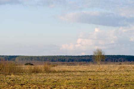 _ICT0176